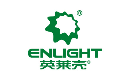 Enlight logo standard template